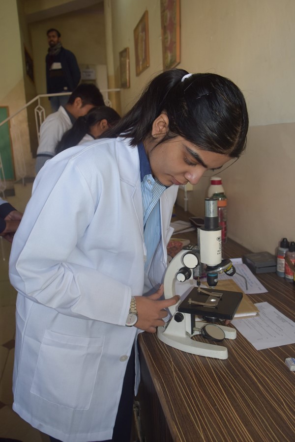 Laboratory 2